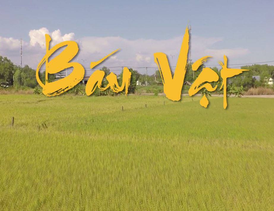 BÁU VẬT - LT
