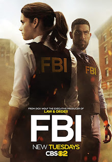 FBI Phần 4 - Vietsub