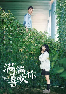 Hoàn Toàn Thích Anh - Vietsub