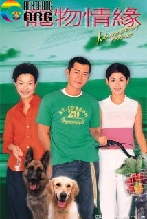 CHÚ CHÓ THÔNG MINH - LT