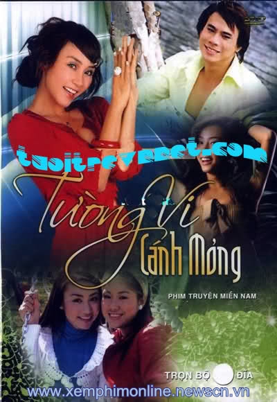TƯỜNG VY CÁNH MỎNG - LT