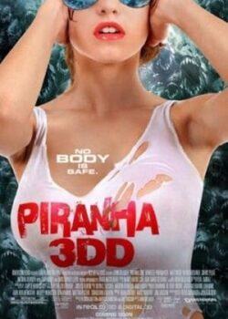 Cá Hổ Piranha 2