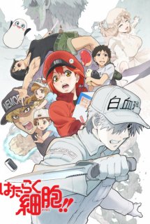 Hataraku Saibou!!