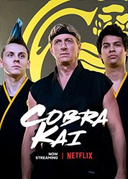 Võ Đường Cobra Kai (Phần 3)